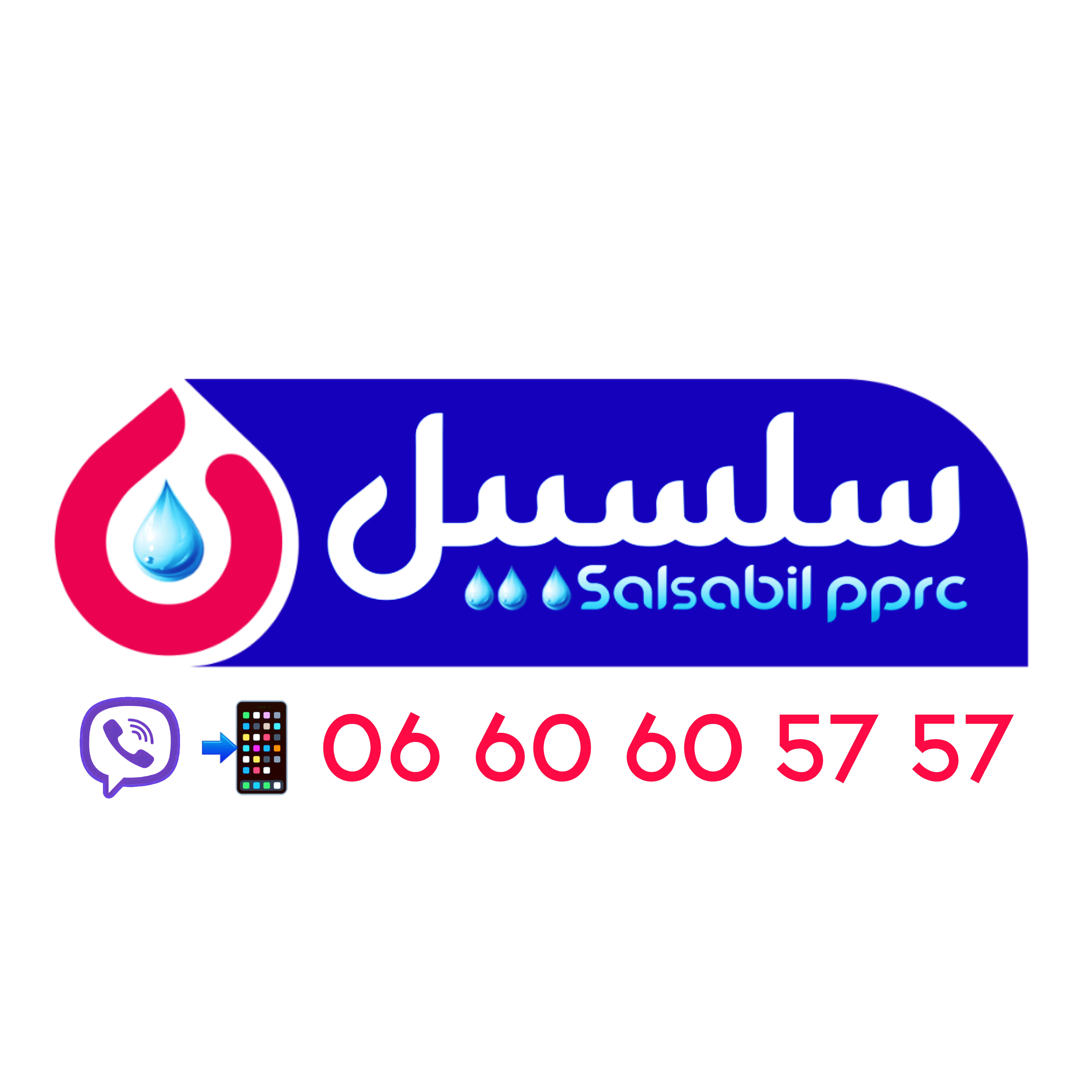Animated Logo